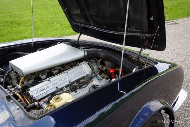 Aston Martin V8, 1980