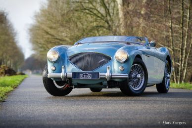 Austin Healey 100/4 BN2, 1956