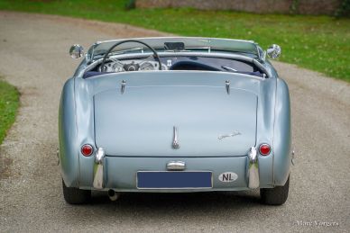 Austin Healey 100/4, 1955