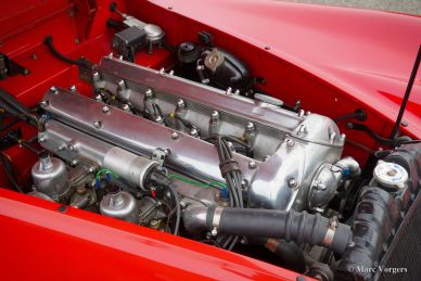 Jaguar XK 140 SE DHC, 1956