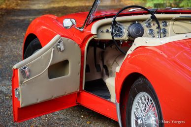 Triumph TR 2, 1954