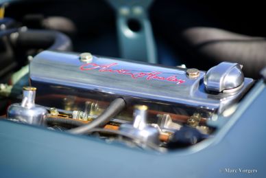 Austin Healey 100/4 (BN1), 1955