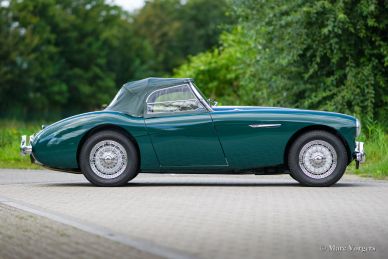Austin Healey 100/4 BN1, 1955