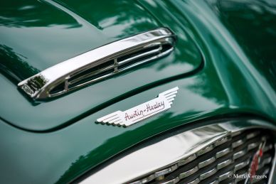 Austin Healey 100/6 BN6 ‘two-seater’, 1958