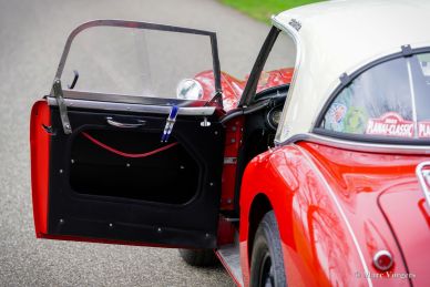 Austin Healey 100/6 Rally Car, 1958