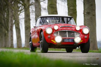 Austin Healey 100/6 Rally Car, 1958