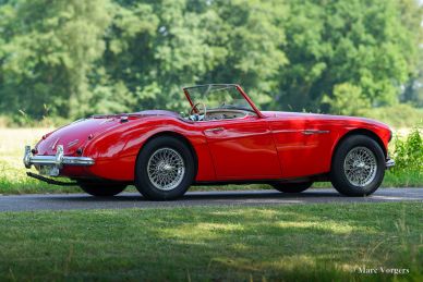 Austin Healey 3000 Mk I, 1960