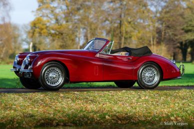 Jaguar XK 120 DHC, 1953