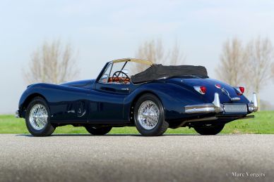 Jaguar XK 140 DHC, 1956