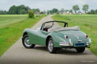 Jaguar XK 140 SE DHC, 1955