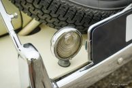 MG TF 1250, 1954