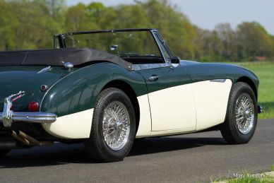 Austin Healey 3000 Mk III, 1964