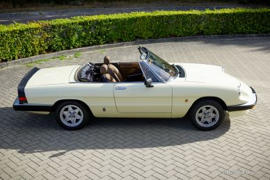 Alfa Romeo Spider 2000, 1983