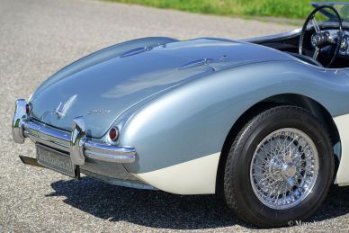 Austin Healey 100/4 (BN1), 1955