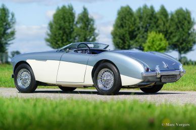 Austin Healey 100/4 (BN1), 1955