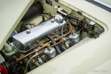 Austin Healey 100/4 BN1, 1953