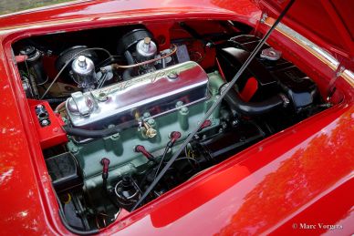 Austin Healey 100/4, 1954