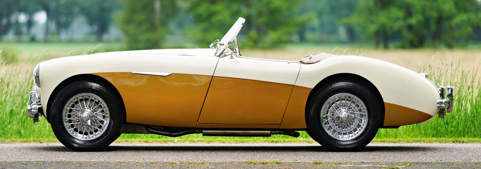 Austin Healey 100/4 BN1, 1955