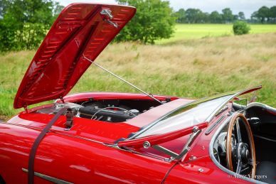 Austin Healey 100/M ‘Le Mans’, 1955
