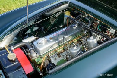 Austin Healey 3000 Mk III, 1966