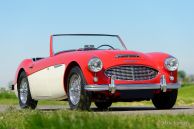 Austin Healey 100/6, 1959