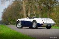 Austin Healey 100/6 BN4, 1957