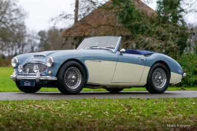 Austin Healey 100/6 BN4, 1957