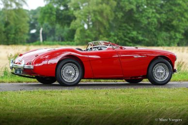 Austin Healey 100/M ‘Le Mans’, 1955