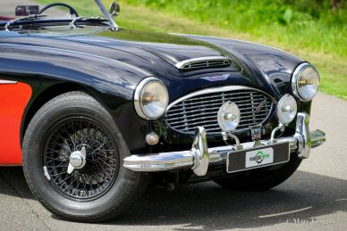 Austin Healey 3000 MK I, 1959