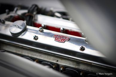 Jaguar XK 140 SE DHC, 1955