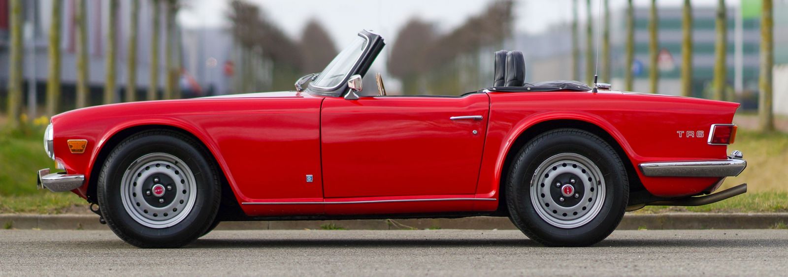 Triumph TR 6 PI, 1969