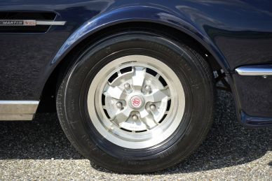 Aston Martin V8, 1980