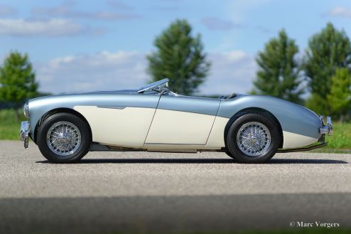 Austin Healey 100/4 (BN1), 1955