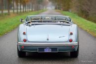 Austin Healey 100/4 BN1, 1955