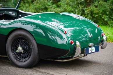 Austin Healey 100/6 BN6 ‘two-seater’, 1958