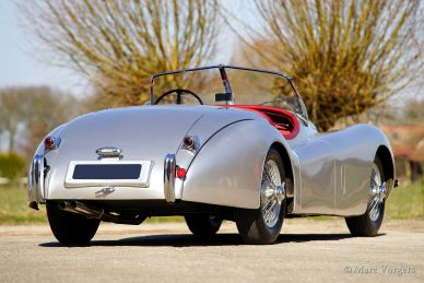 Jaguar XK 120 OTS, 1954