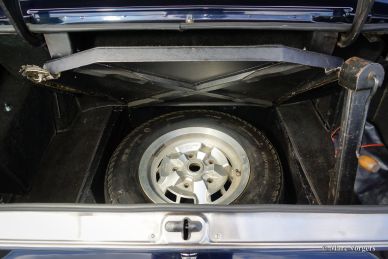 Aston Martin V8, 1980