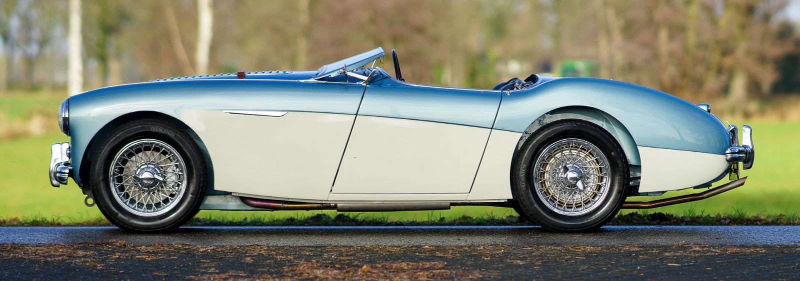 Austin Healey 100/4 BN2, 1956