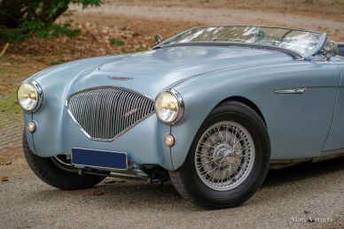 Austin Healey 100/4, 1955