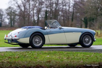 Austin Healey 100/6 BN4, 1957