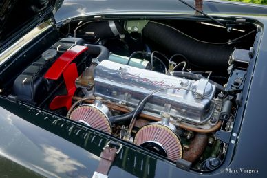 Austin Healey 100/4 BN2 ‘Le Mans’, 1956