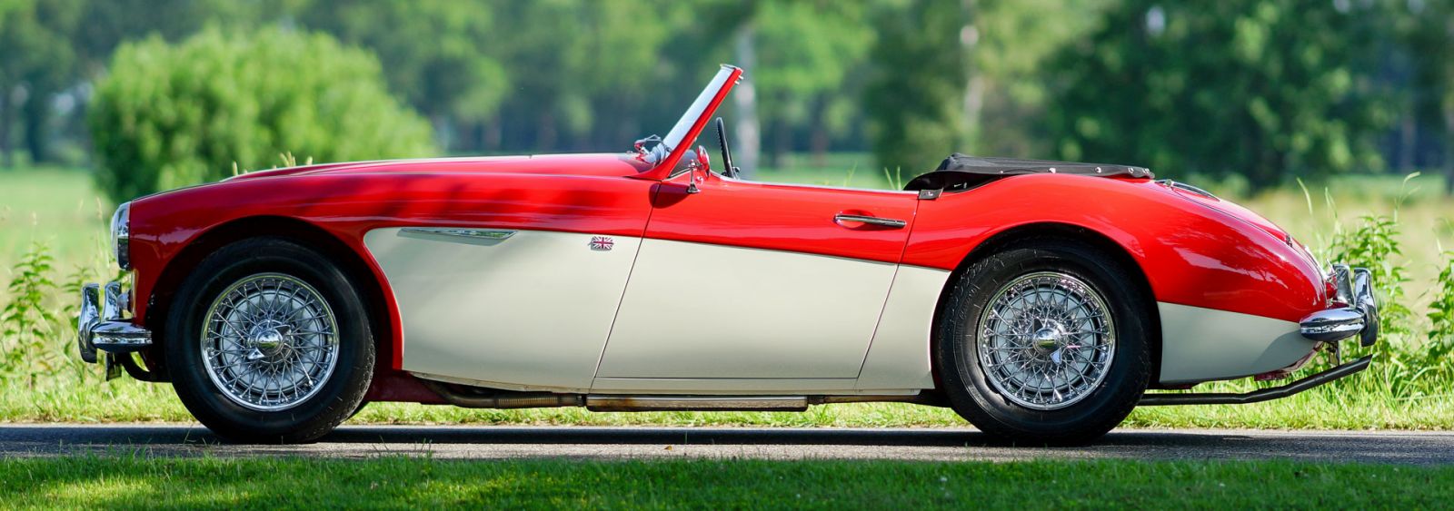 Austin Healey 100/6, 1959