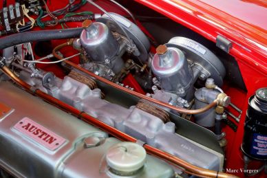 Austin Healey 100/6, 1959