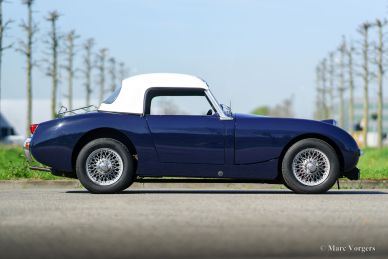 Austin Healey Sprite ‘Frogeye’, 1959