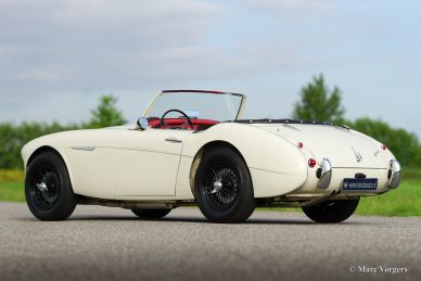 Austin Healey 100/6, 1959