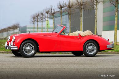 Jaguar XK 140 SE DHC, 1956