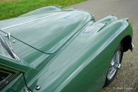 Jaguar XK 140 SE DHC, 1955