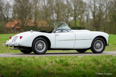 Swallow Doretti roadster, 1955