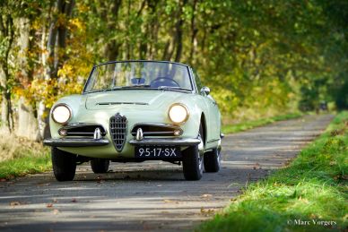 Alfa Romeo Giulia 1600 Spider, 1964