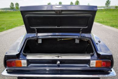 Aston Martin V8, 1980